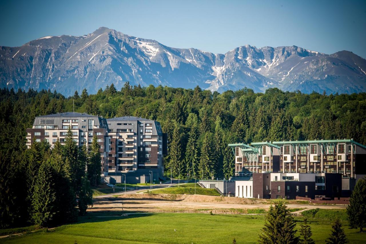 Silver Sunrise Studio In Silver Mountain 波亚纳布拉索夫 外观 照片