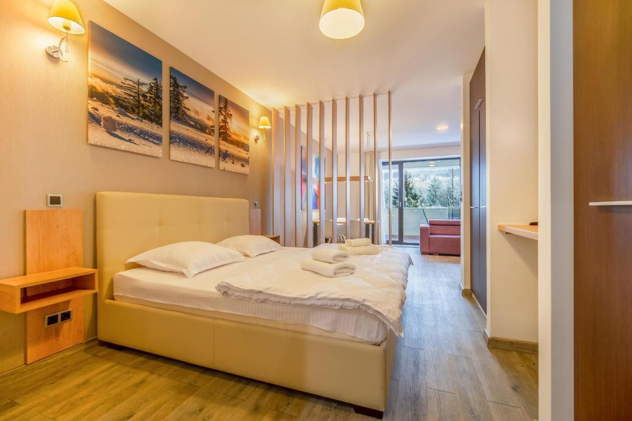 Silver Sunrise Studio In Silver Mountain 波亚纳布拉索夫 外观 照片