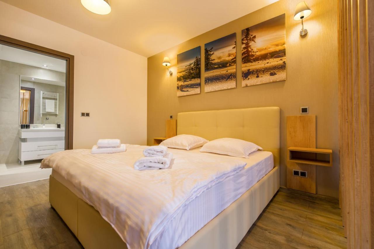 Silver Sunrise Studio In Silver Mountain 波亚纳布拉索夫 外观 照片